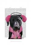 Black Labrador With Ear Muffs