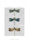 Dragonflies Print 1