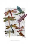 Dragonfly Print 3