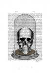 Skull In Bell Jar