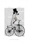 Dalmatian on Bicycle