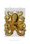 Vintage Yellow Octopus Front
