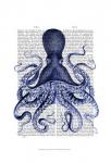 Blue Octopus 3