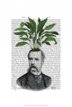 Aspidistra Head Plant Head