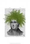 Asparagus Fern Head Plant Head