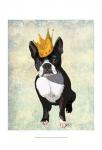 Boston Terrier and Crown