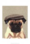 Pug in Flat Cap