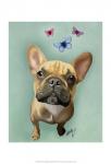 Brown French Bulldog and Butterflies