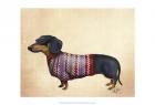 Dachshund With Woolly Sweater