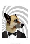 Debonair James Bond Dog