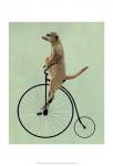 Meerkat on Black Penny Farthing