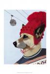 Dog in Ski Sweater