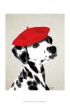 Dalmatian With Red Beret