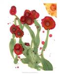 Poppy Whimsy III