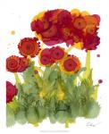 Poppy Whimsy IV