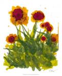 Poppy Whimsy V