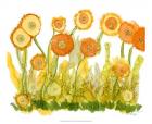 Sunlit Poppies II
