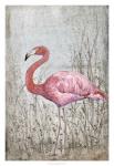 American Flamingo II