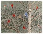 Ornaments