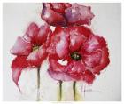 Fuchsia Poppies I