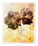 Brocade Garden I