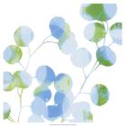 Blue Plums II