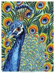 Plumed Peacock I