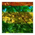 Abstract Leaf Study I