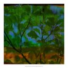 Abstract Leaf Study V