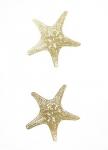 2-Up Gold Foil Starfish I - Metallic Foil