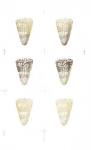 6-Up Gold Foil Shell I