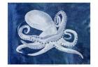 Cephalopod I