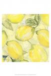 Lemon Medley I