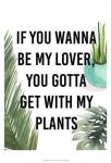 Plant Love IV