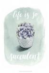 Life is Succulent I