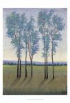 Acreage I