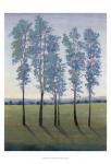 Acreage II