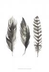 Watercolor Feathers I