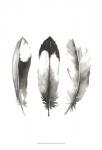 Watercolor Feathers II