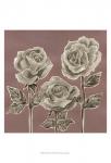 Marsala Roses I