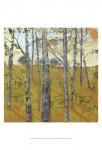 Thicket on the Hill II