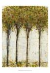 Apple Orchard I