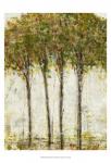 Apple Orchard II