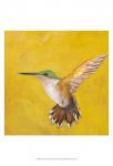 Sweet Hummingbird II