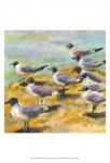 Sea Birds Watercolor II