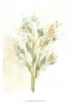 Sagebrush Bouquet I