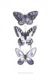 Monochrome Butterflies I