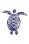 Marine Turtle I