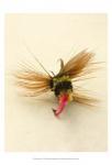 Macro Lure IV