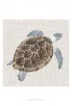 Sea Turtle I